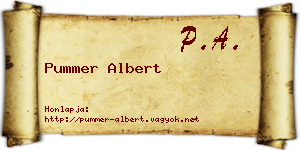 Pummer Albert névjegykártya