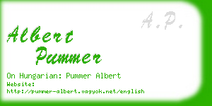 albert pummer business card